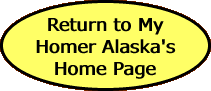 Return to My Homer Alaska's